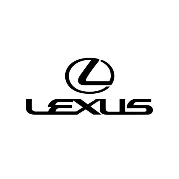 شركة تكافل الراجحي - ضد الغير